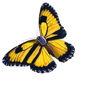 Yellow Butterfly In Nature PNG Ecb24 PNG
