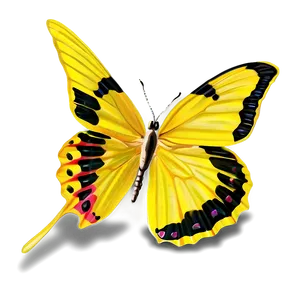 Yellow Butterfly On Flower Png Fob99 PNG image