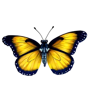 Yellow Butterfly On Flower Png Nnf PNG image