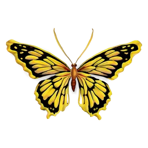 Yellow Butterfly Pattern Png Mmi PNG image