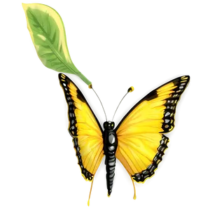 Yellow Butterfly Transparent Clipart Png 06292024 PNG image