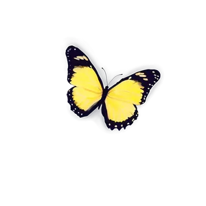 Yellow Butterfly Transparent Clipart Png Hes PNG image