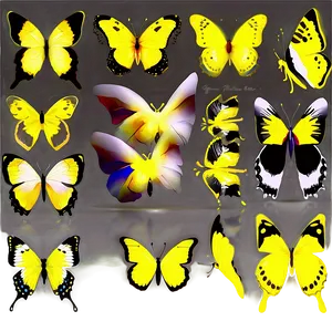 Yellow Butterfly Vector Png Wuj PNG image