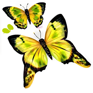 Yellow Butterfly With Green Background PNG 06292024 PNG