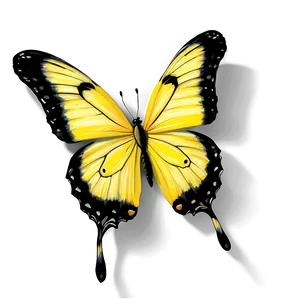 Yellow Butterfly With Shadow Png 06292024 PNG image