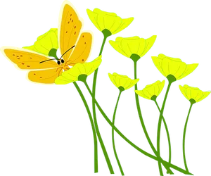 Yellow Butterflyon Flowers