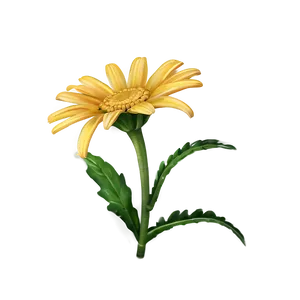 Yellow Daisy A PNG image