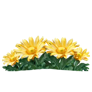 Yellow Daisy And Blue Sky PNG Orv90 PNG