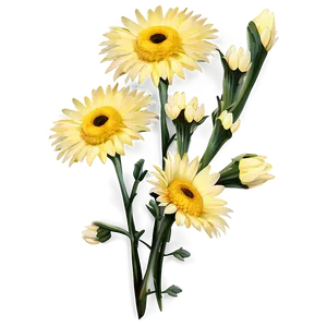 Yellow Daisy Floral Arrangement PNG 50 PNG