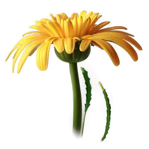 Yellow Daisy Glowing Effect PNG 93