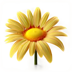 Yellow Daisy Glowing Effect PNG Hse