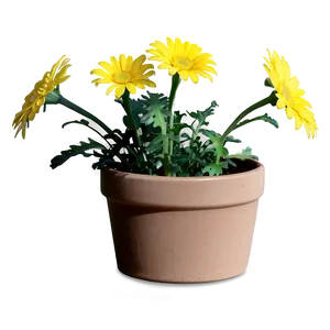 Yellow Daisy In Pot PNG Wnn