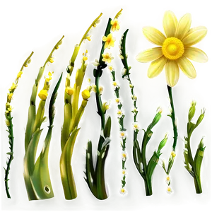 Yellow Daisy Night Scene PNG 33 PNG