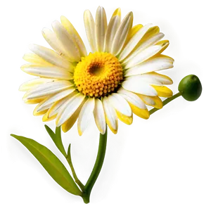 Yellow Daisy Png 06292024 PNG image