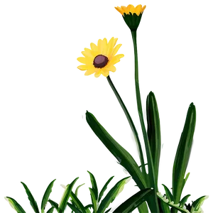 Yellow Daisy Png Kct12 PNG image