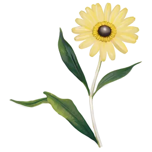 Yellow Daisy Retro Look PNG 91 PNG