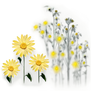 Yellow Daisy Silhouette PNG Eja92 PNG