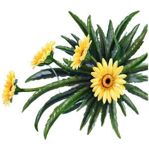 Yellow Daisy Summer Theme PNG 61