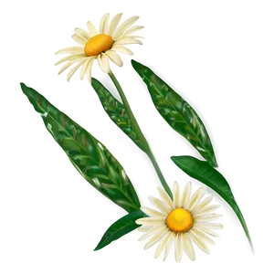 Yellow Daisy Summer Theme PNG Ixb PNG