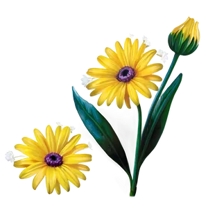 Yellow Daisy Transparent Background Png 48 PNG image