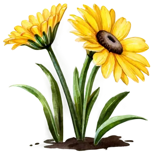 Yellow Daisy Watercolor Png 06292024 PNG image