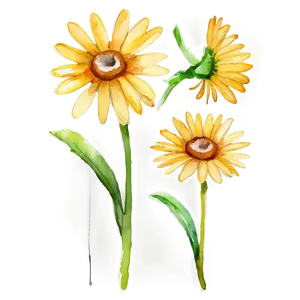 Yellow Daisy Watercolor Png 06292024 PNG image