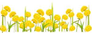 Yellow Dandelions Field Illustration PNG image