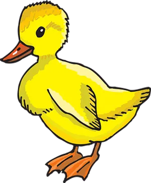 Yellow Duckling Cartoon Illustration PNG image