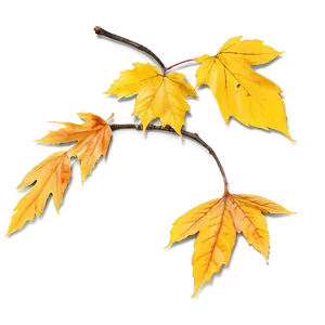 Yellow Fall Leaves Png Brk PNG image
