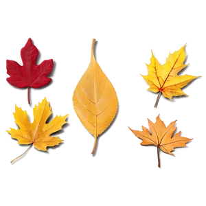 Yellow Fall Leaves Png Mbc3 PNG image
