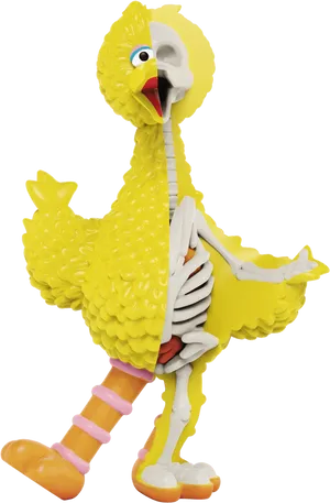 Yellow Feathered Character Anatomy Revealed PNG image