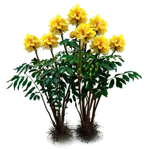 Yellow Flower Bush Png 97 PNG image