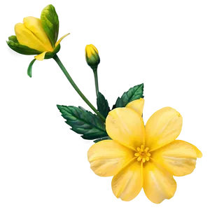 Yellow Flower Closeup PNG 67