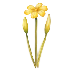 Yellow Flower Sketch PNG 26 PNG