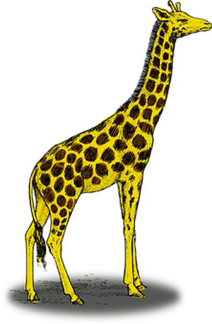 Yellow Giraffe Graphic Illustration PNG image
