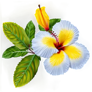 Yellow Hibiscus Png 42 PNG image