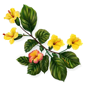 Yellow Hibiscus Png Nnr68 PNG image