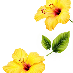 Yellow Hibiscus Png Qfv PNG image