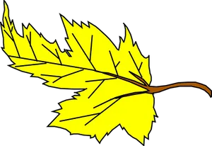 Yellow Maple Leaf Vector Illustration