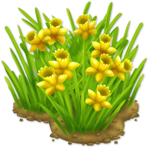 Yellow Narcissus Flower Cluster PNG image