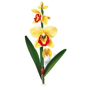 Yellow Orchid PNG Ymk
