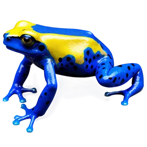 Yellow Poison Dart Frog Png 06132024 PNG image