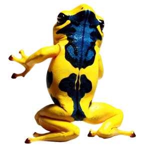 Yellow Poison Dart Frog Png 46 PNG image