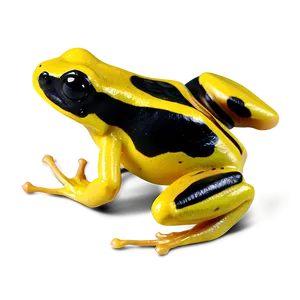 Yellow Poison Dart Frog Png 73 PNG image