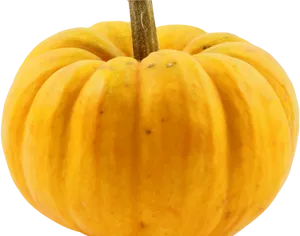 Yellow Pumpkin Squash Isolated PNG image