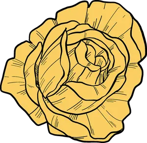 Yellow Rose Illustration PNG image