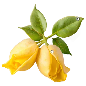 Yellow Rose Petals PNG 05252024 PNG