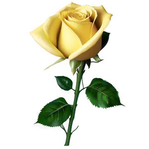 Yellow Rose PNG 75