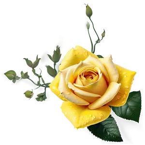 Yellow Roses Png Lcc PNG image