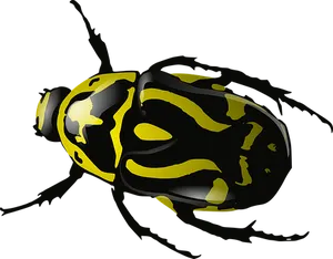 Yellow Striped Beetleon Black Background.jpg PNG image